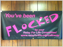 Murray Calloway County Relay For Life